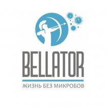 BELLATOR жизнь без микробов