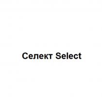 Селект Select