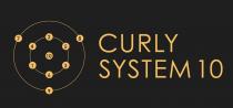 CURLY SYSTEM