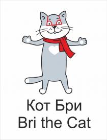 Кот Бри Bri the Cat