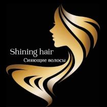 Shining hair Сияющие волосы