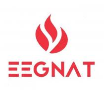 EEGNAT