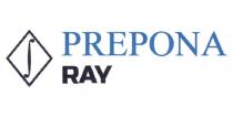 PREPONA RAY