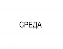 СРЕДА