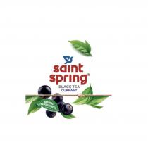 Saint Spring» black tea currant