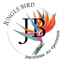 JUNGLE BIRD растения из тропиков