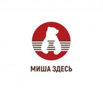 МИША ЗДЕСЬ