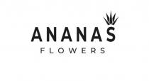 ANANAS FLOWERS
