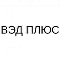 ВЭД ПЛЮС