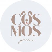 COSMOS groom