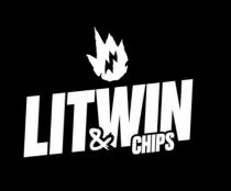 LITWIN chips