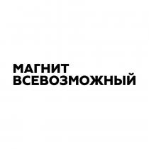 МАГНИТ ВСЕВОЗМОЖНЫЙ