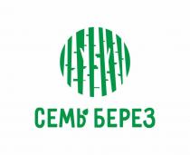 СЕМЬ БЕРЕЗ