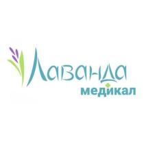 Лаванда медикал