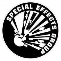SPECIAL EFFECTS GROUP