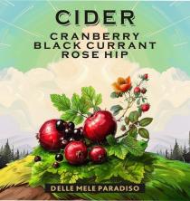 DELLE MELE PARADISO CIDER CRANBERRY BLACK CURRANT ROSE HIP