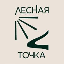 ЛЕСНАЯ ТОЧКА