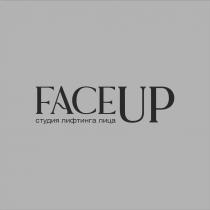 Буквы «FACE» имеют одинаковую высоту и ширину. Буквы «UP» имеют одинаковую ширину и высоту, выполнены крупнее чем буквы «FACE». Буква «А» посередине имеет типографический знак тильда: «~».