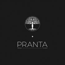 PRANTA PRANA PLANTA