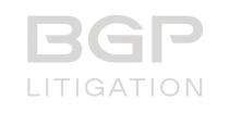 BGP LITIGATION