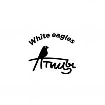 White eagles птицы