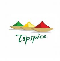 Topspice