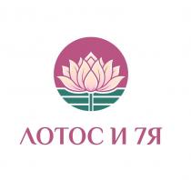 ЛОТОС И 7Я