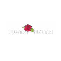 ЦВЕТЫ МЕЧТЫ