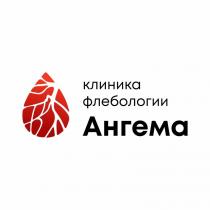 Словесное обозначение состоит из «клиника флебологии» и «Ангема». Словесные обозначения выполнены фирменным кириллическим шрифтом в три строки в черном цвете