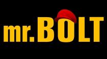 mr.Bolt