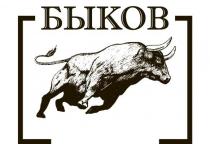 БЫКОВ