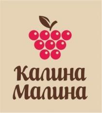 КАЛИНА МАЛИНА