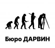 Словесная часть представлена надписью Бюро ДАРВИН, выполненной кириллицей, полужирным шрифтом, первая буква в слове Бюро- заглавная, остальные- строчные, в слове ДАРВИН- все буквы заглавные