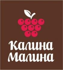 КАЛИНА МАЛИНА