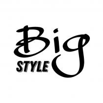 Изобразительный и словесный знак «Big STYLE», транслитерация «Биг СТАЙЛ», состоящий из двух слов. В переводе означает «Большой СТИЛЬ». Слово Big написано с заглавной буквы, две другие буквы строчные, шрифтом «mawns handwriting», слово STYLE написано заглавными буквами шрифтом «ЗИНГЛАЙН».