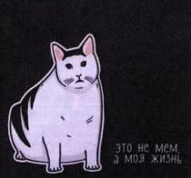 ЭТО НЕ МЕМ А МОЯ ЖИЗНЬ