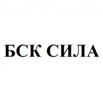 БСК СИЛА