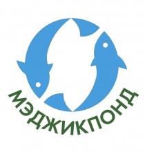 МЭДЖИКПОНД