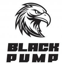 BLACK PUMP
