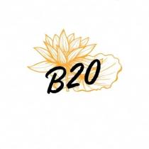 B20