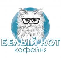 Белый кот