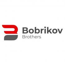 Bobrikov Brothers