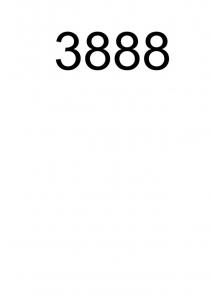 3888