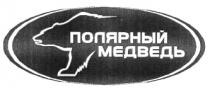 ПОЛЯРНЫЙ МЕДВЕДЬ