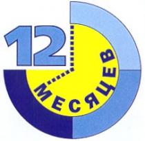 12 МЕСЯЦЕВ