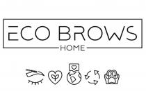 ECO BROWS HOME