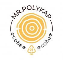 MR. POLYKAP ECOBEE 21 PAP