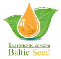 БАЛТИЙСКИЕ СЕМЕНА BALTIC SEED