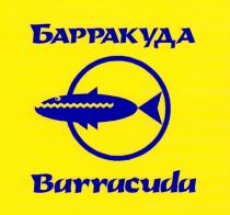 БАРРАКУДА BARRACUDA