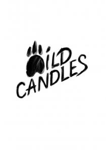 WILD CANDLES